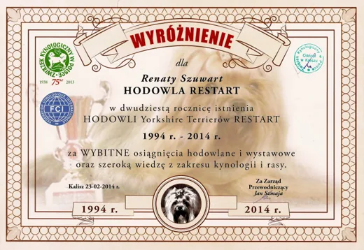 Wyróżnienie w 20. rocznicę istnienia hodowli Yorkshire Terrierów Restart