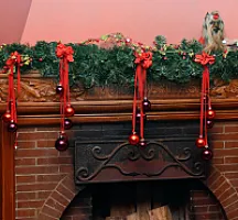 Yorkshire Terrier - zdjęcie 21