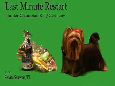 LAST MINUTE Restart - zdjęcie 5