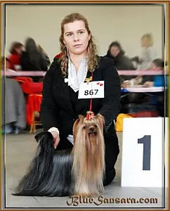 Blue Sansara AMADEUS ROYAL FLUSH (vel Prince) - zdjęcie 4
