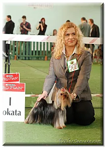 Blue Sansara ALWAYS IN THE SPOTLIGHT - zdjęcie 3